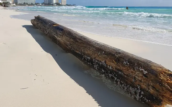 SLS Cancún