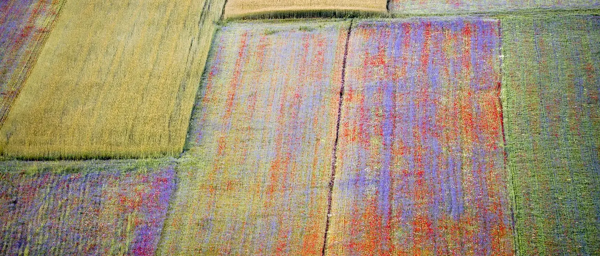 Umbria