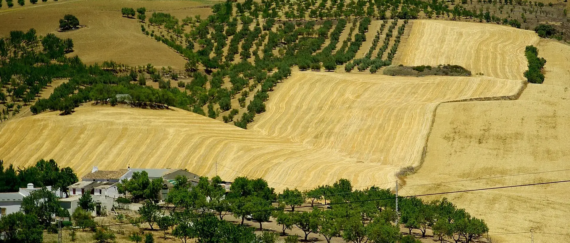 Sanlúcar la Mayor
