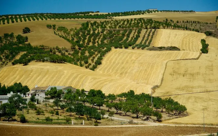 Sanlúcar la Mayor