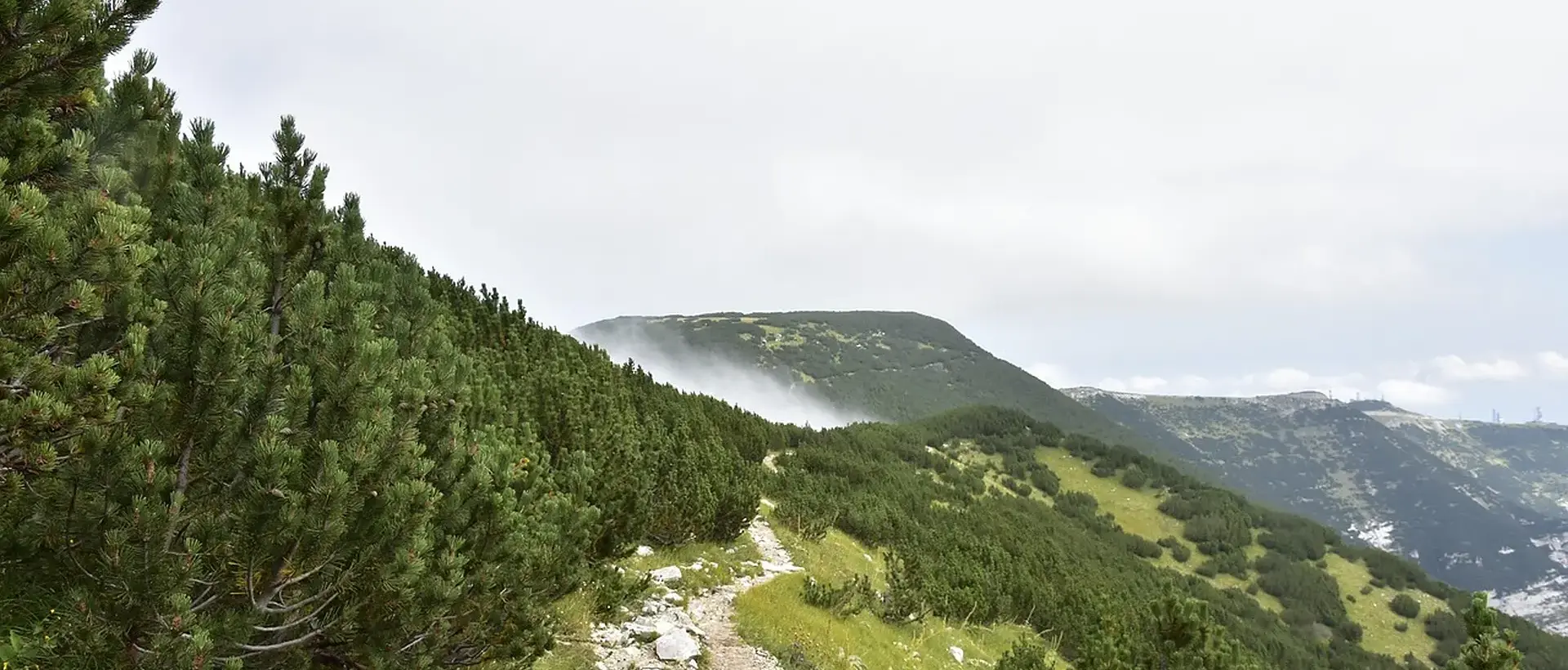 Orsogna