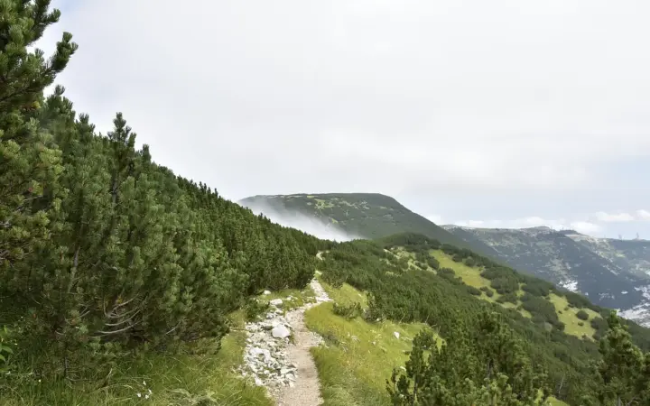 Orsogna