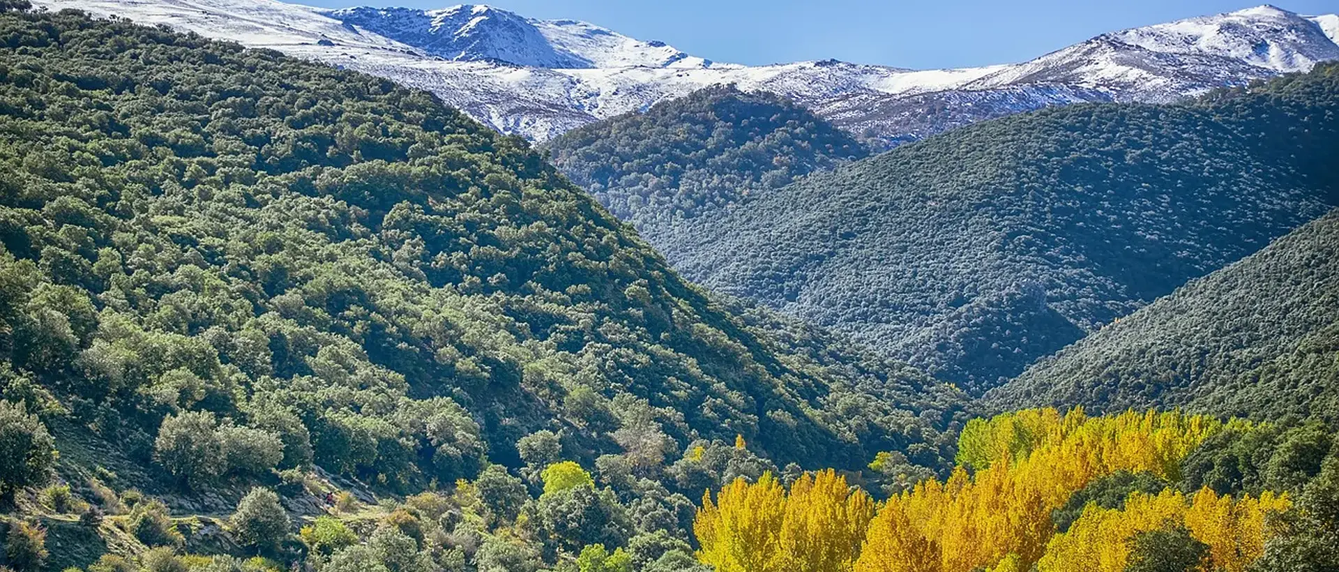 Cenes de la Vega