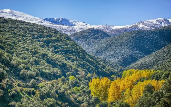 Cenes de la Vega
