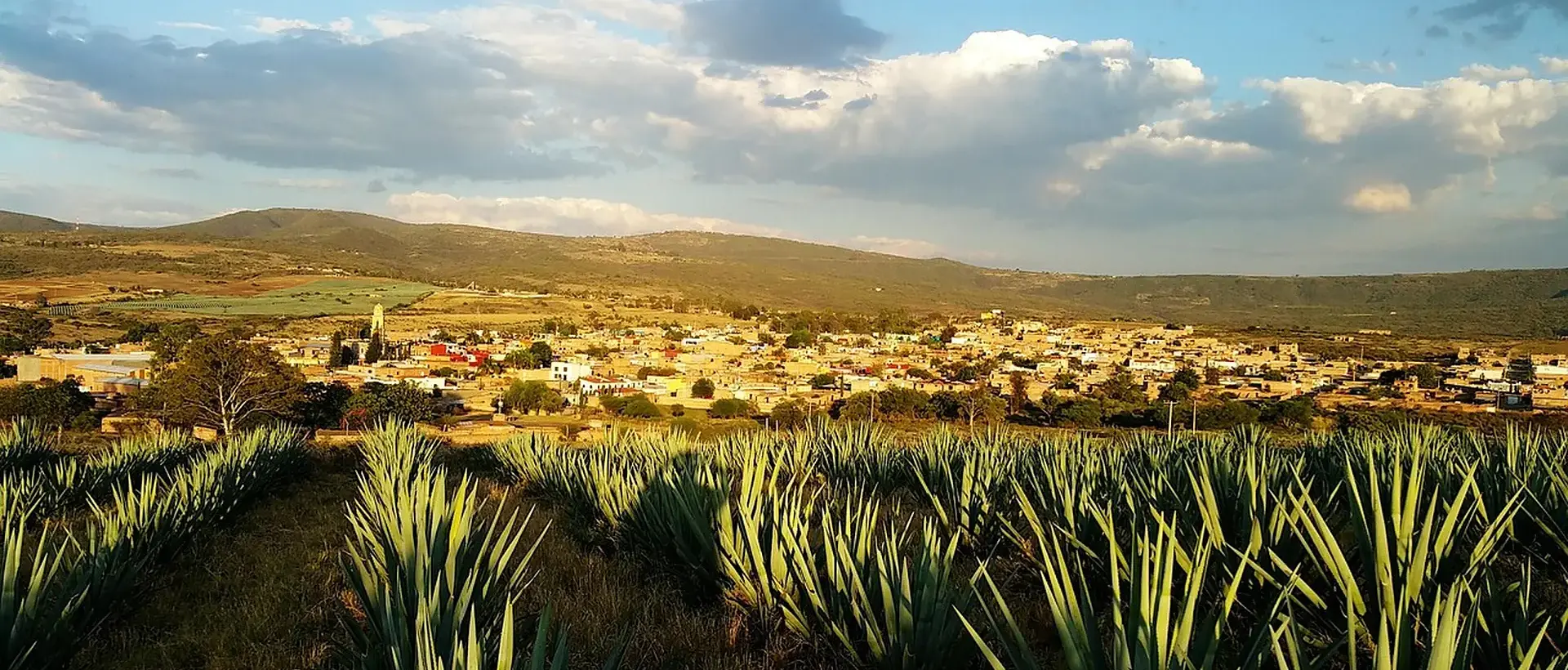 Jalisco