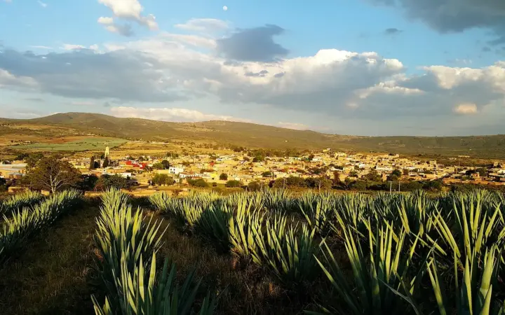 Jalisco