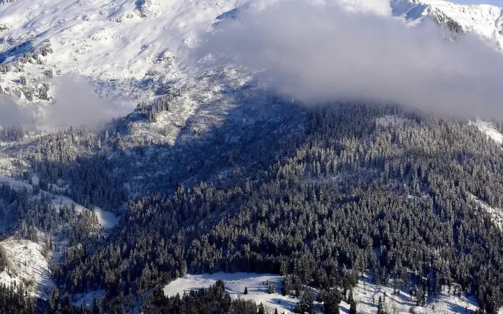 Albertville