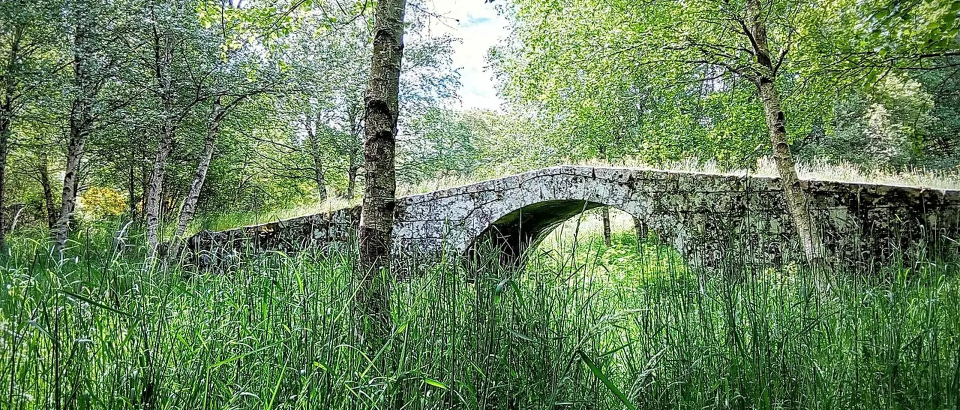Caldas de Reis