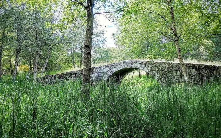 Caldas de Reis