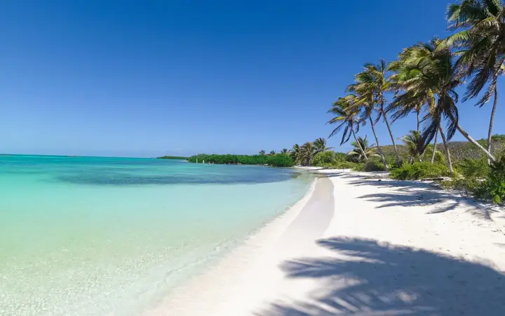 Palm trees on a white-sand beach near Cancún