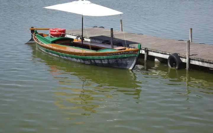 Balade en barque sur l’Albufera et paella