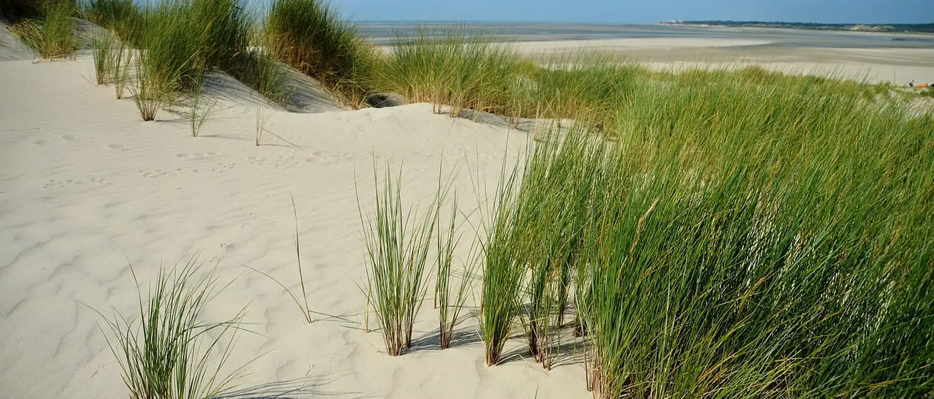 Le Touquet-Paris-Plage