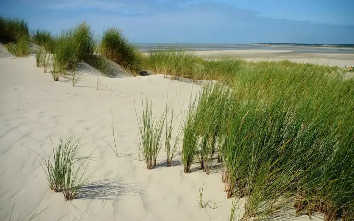 Le Touquet-Paris-Plage