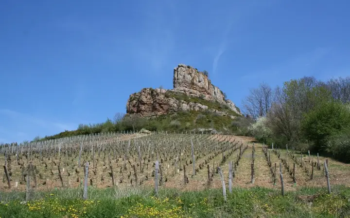 Saint-Martin-Belle-Roche