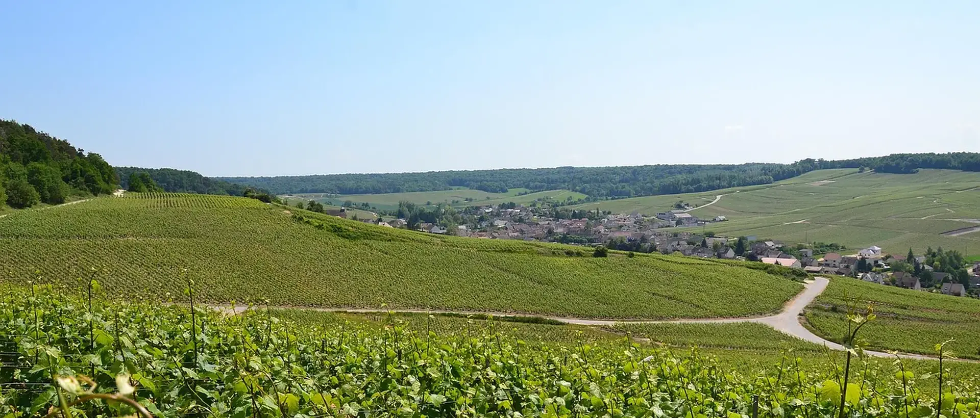 Bar-sur-Aube