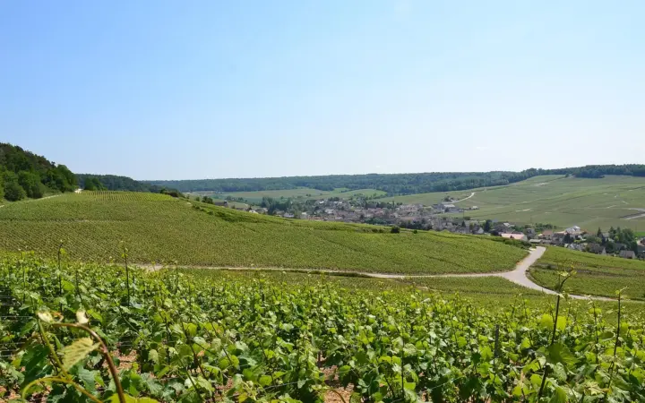 Bar-sur-Aube