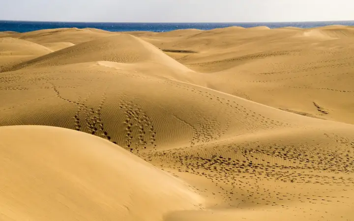 Playa del Inglés