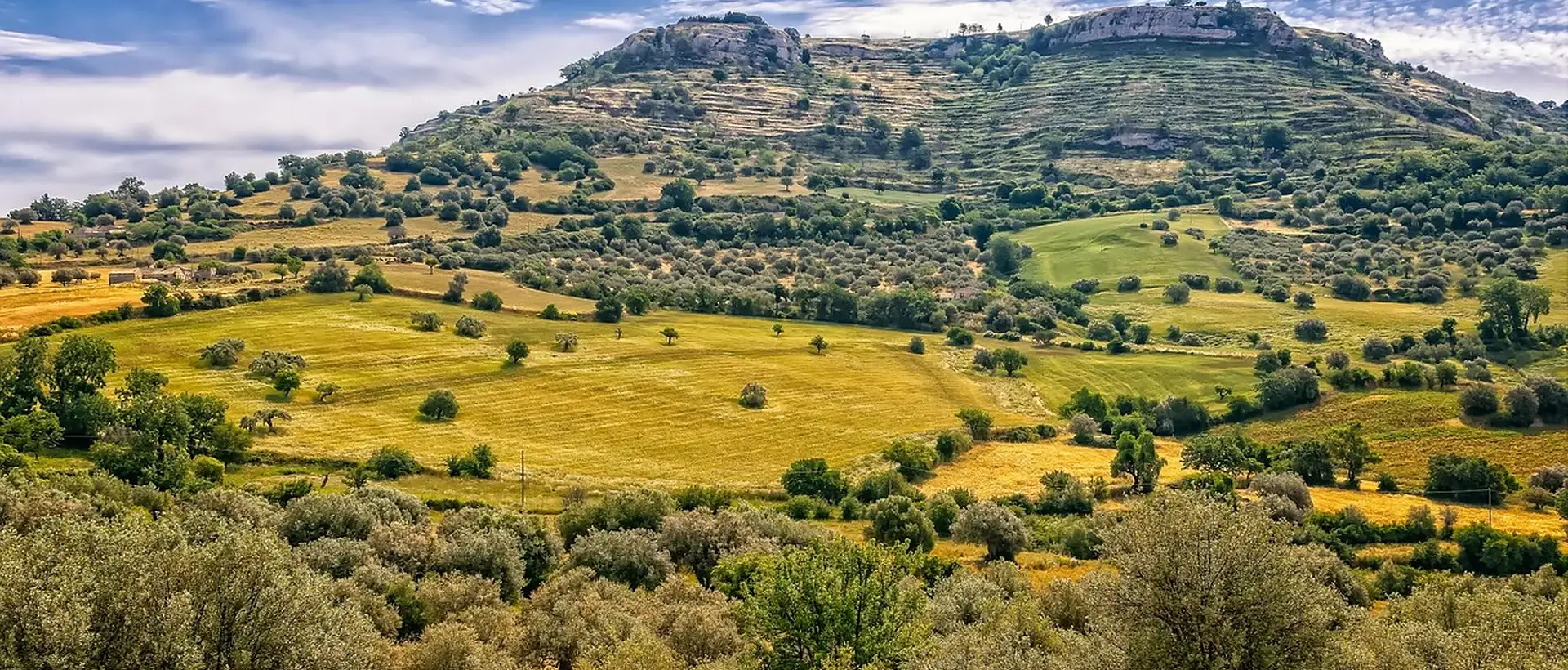 Caltanissetta