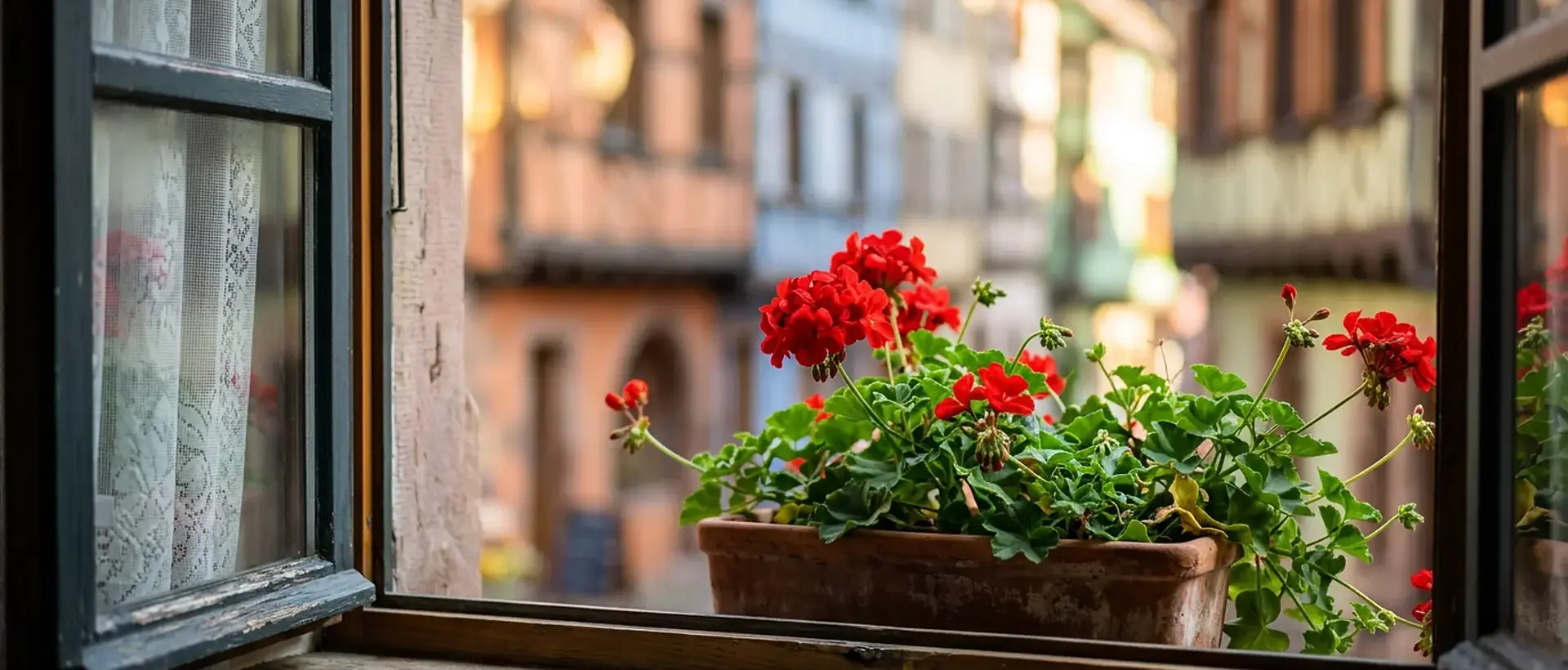 L’Ours de Colmar
