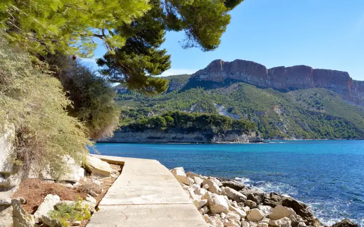 Cassis