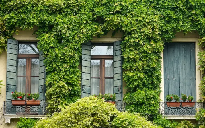 Citôtel Logis de Brou