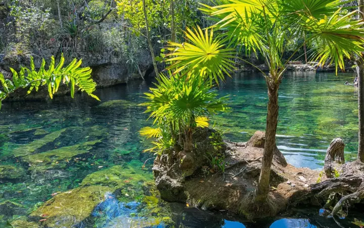Quintana Roo